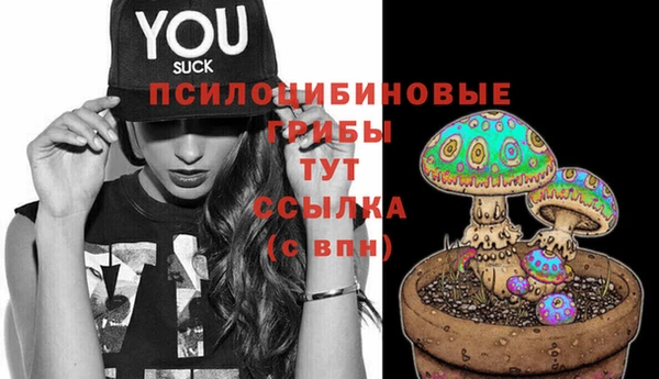 a pvp Покровск